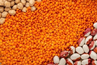 Légumes secs